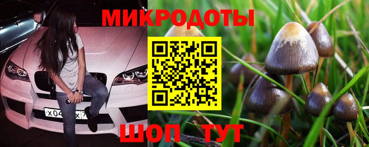 Галлюциногенные грибы прущие грибы  Вход с VPN  наркотики  Торжок 